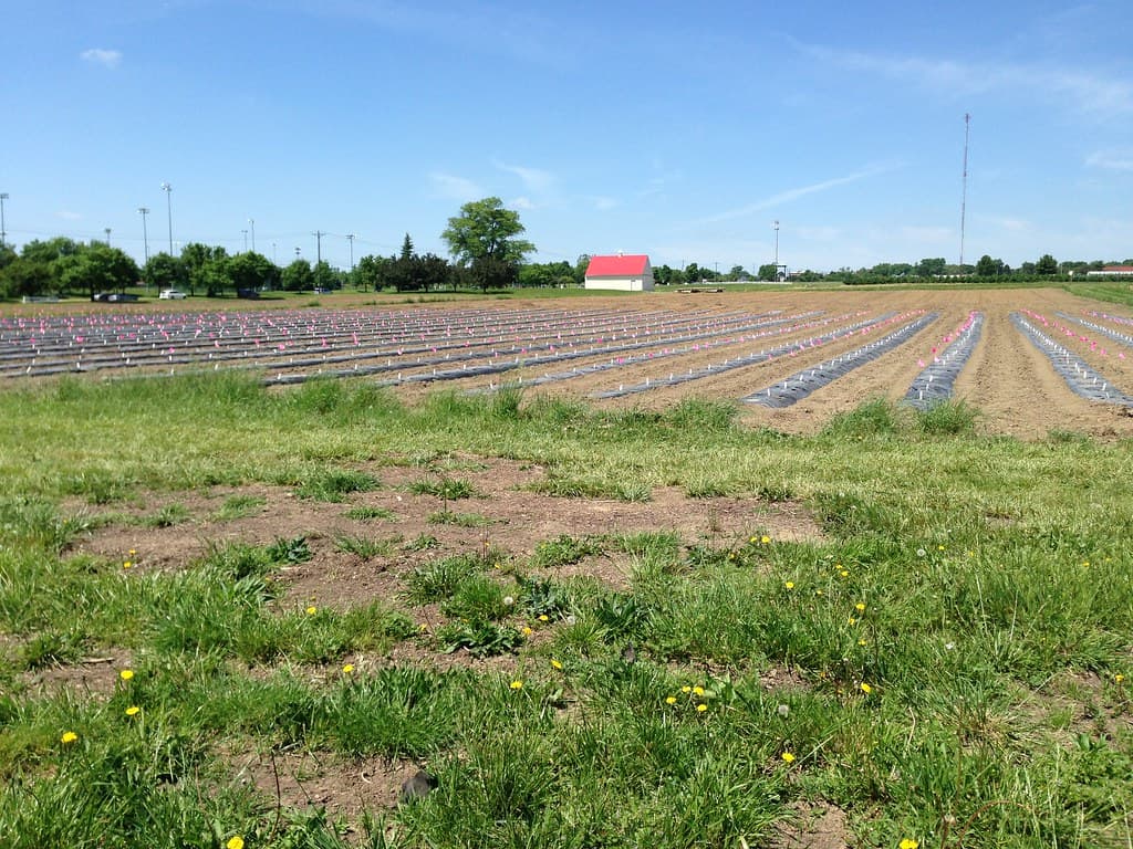 Waterman Agricultural and Natural Resources Laboratory
