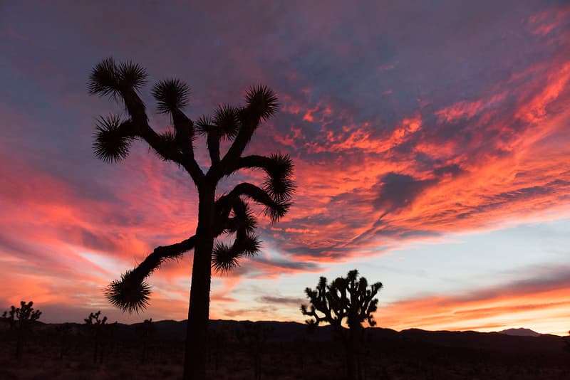 Sunset in Lost Horse Valley; 12/3/15