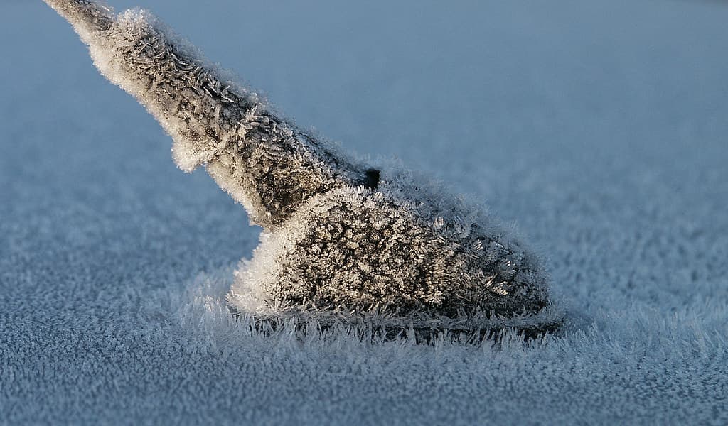 Frosty Recption. (car areial)