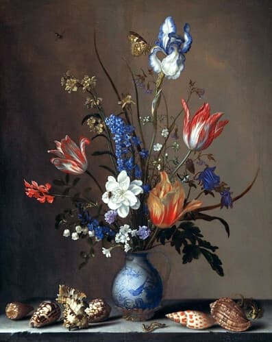 Thcentury, aquilegia, botanical