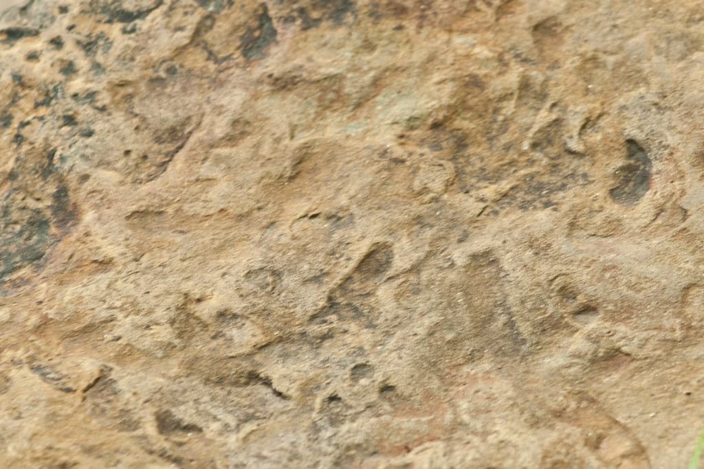 Textures and Backgrounds