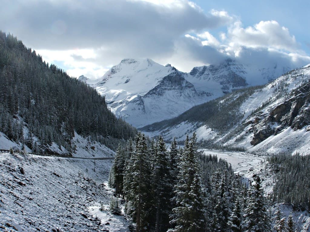 Winter Snows