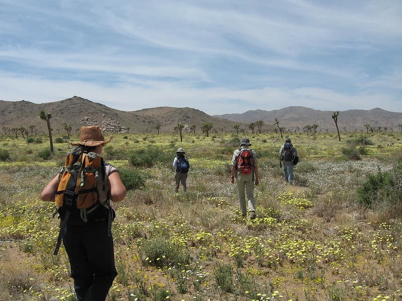 Hiking in Lost Horse Valley