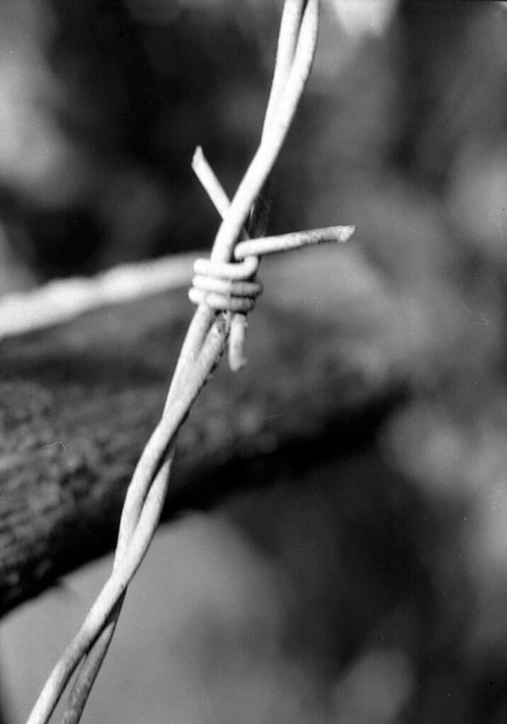 Praktica MTL5 + Industar-61 L/Z - Still life with a Barbed Wire