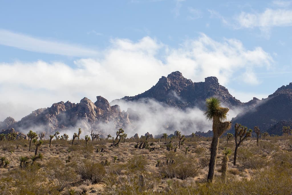 Clouds break near the park's West Entrance