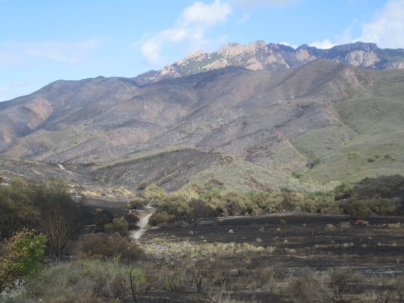 Springs Fire - Up Sycamore Canyon and TriPeaks