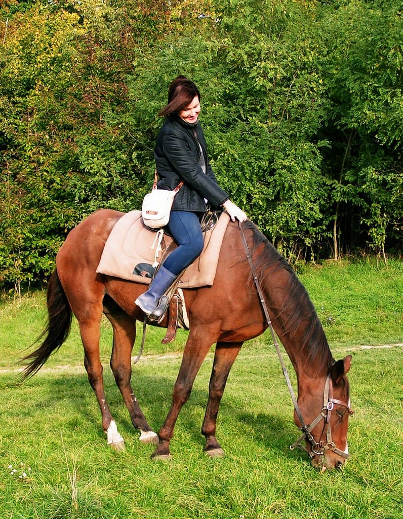 Girl on Horse