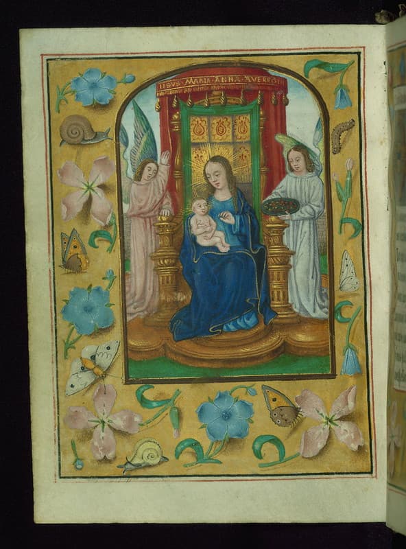 Binding, book, bookofhours