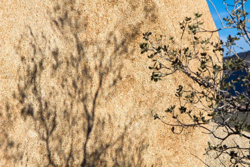 Shadows on boulder at Hidden Valley