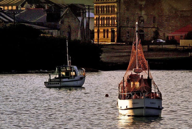 Oamaru boat harbour.NZ