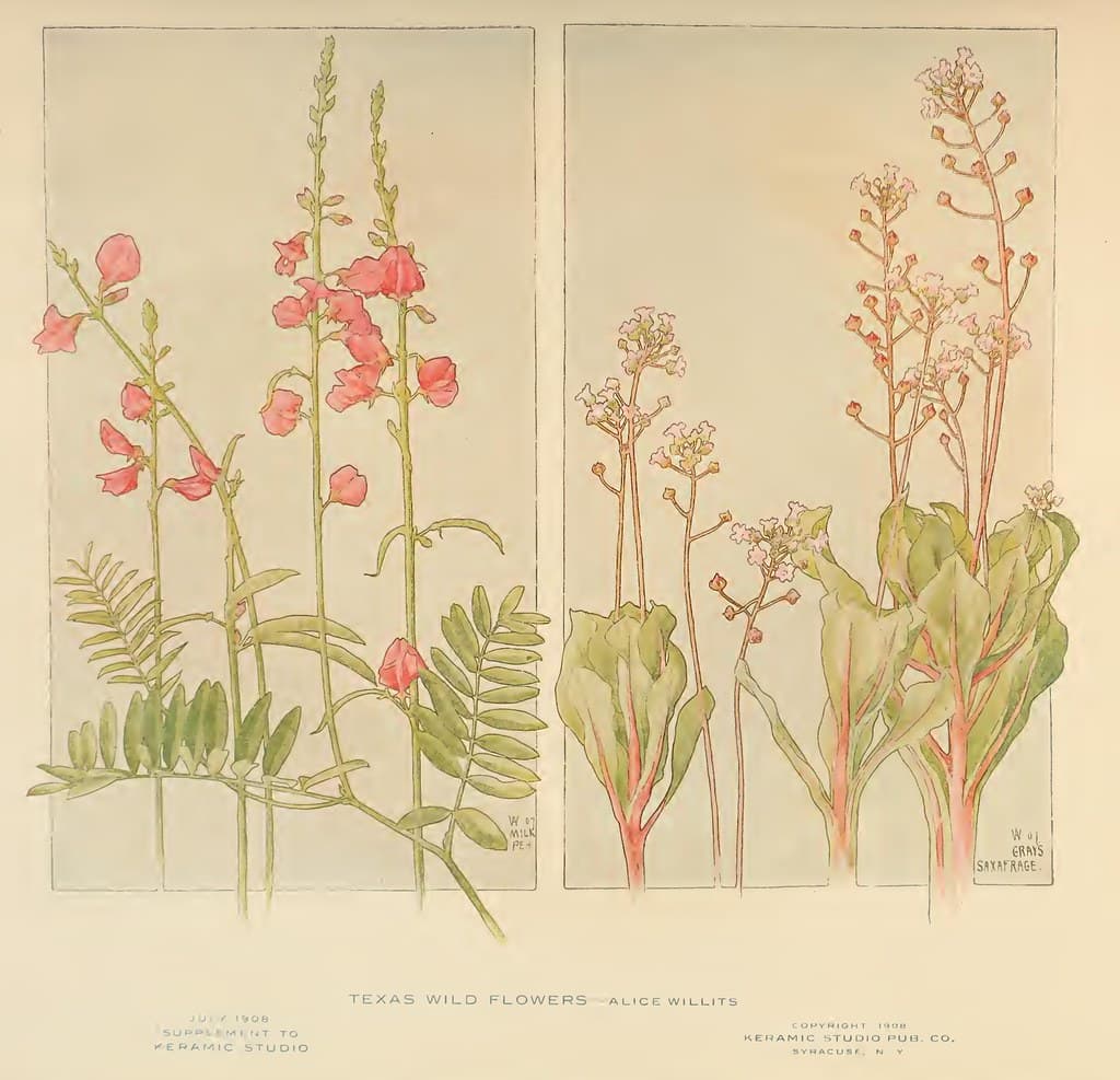 1908 Texas Wildflowers Keramic Studio