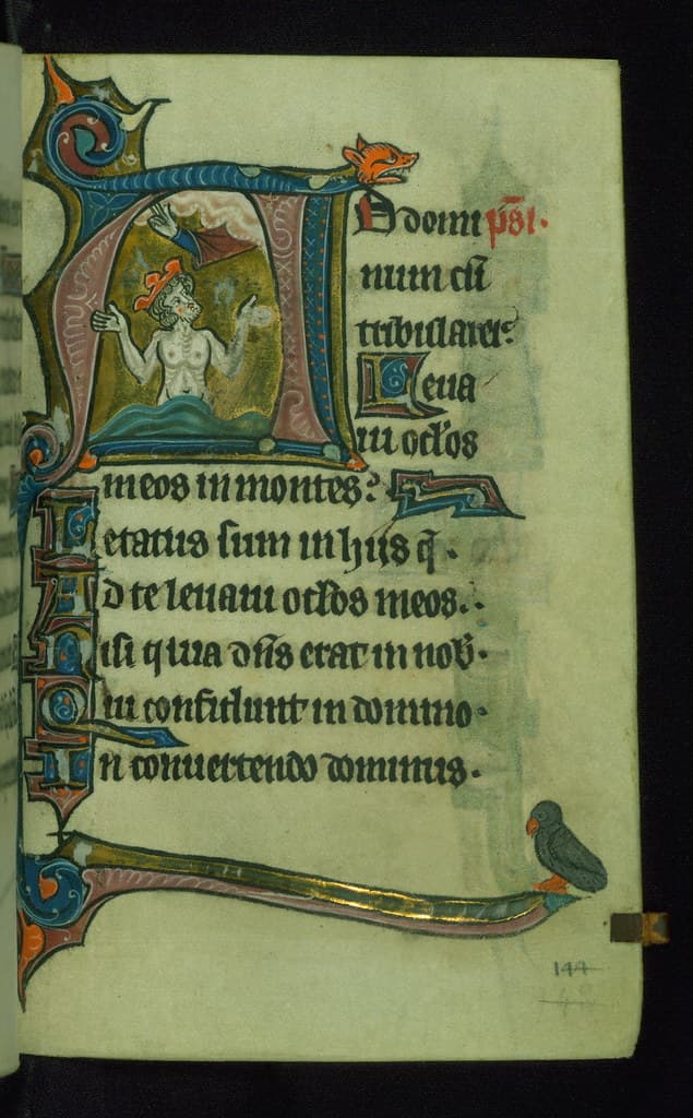 Thcentury, book, bookofhours
