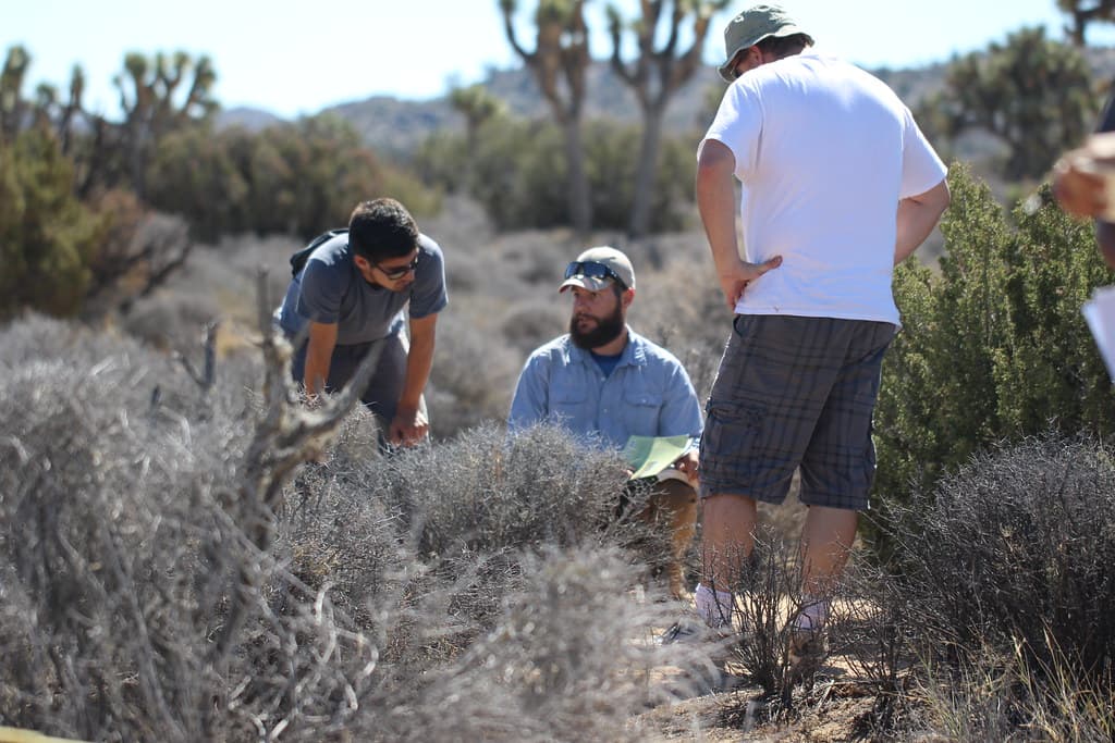 Citizen Science Climate Change & Vegetation Monitoring