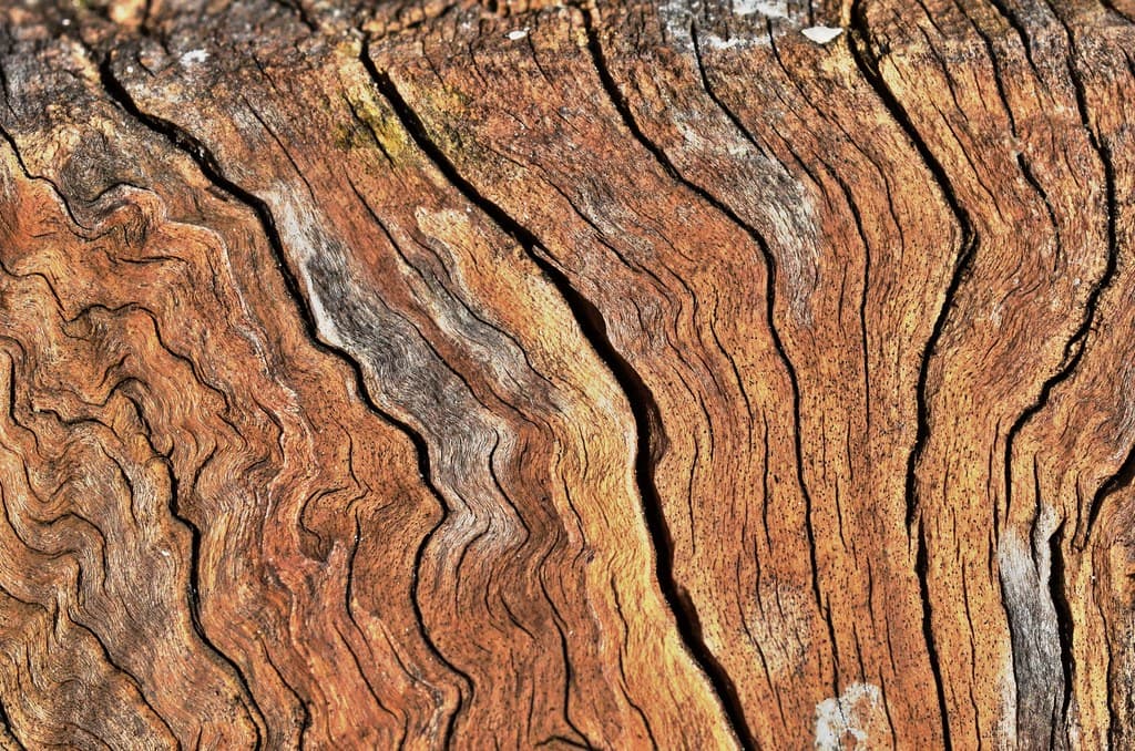 Texture
