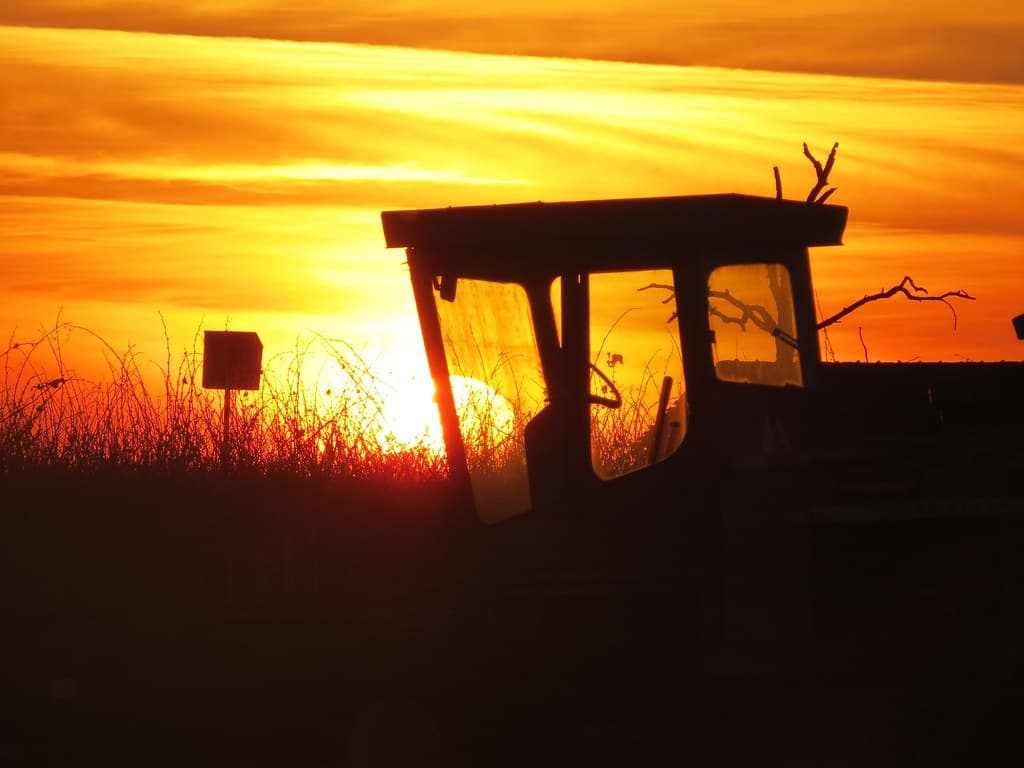 Farm Evening