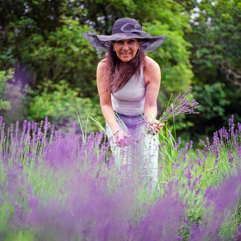 Mom picking lavender