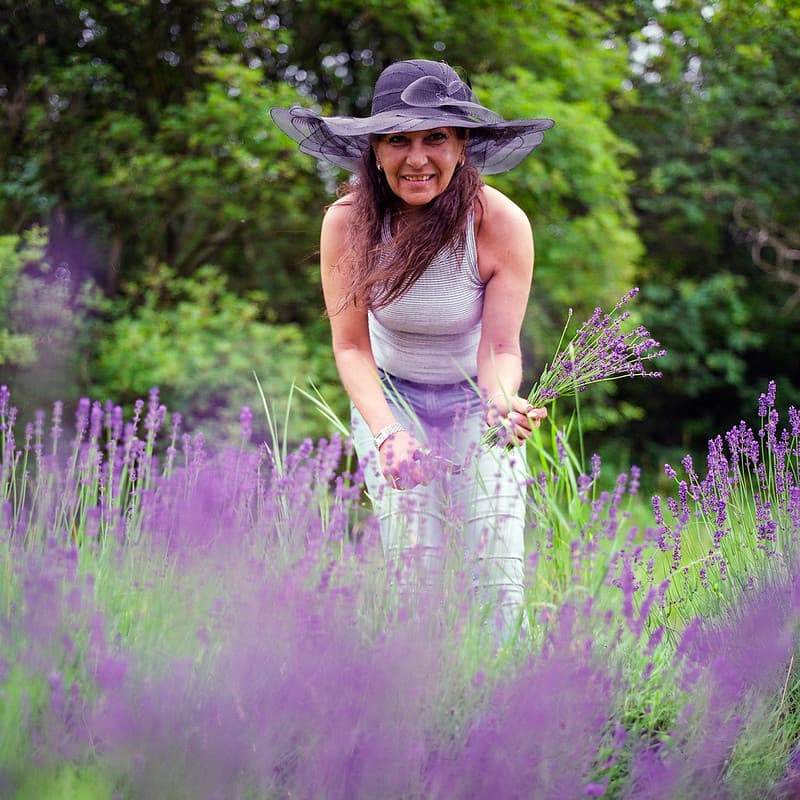 Mom picking lavender