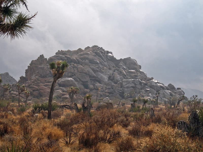Rainstorm; Lost Horse Valley