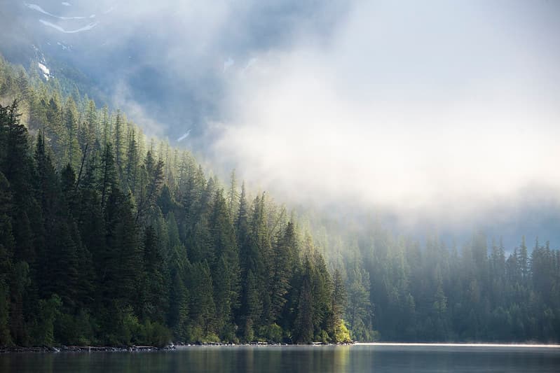 Morning Fog and Trees on Quartz lake (2)