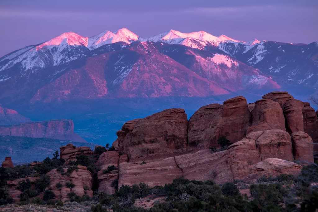 Purple Mountain Majesty