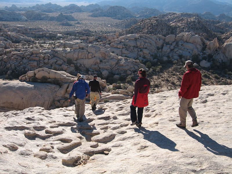 Desert Institute Class on South Astrodome