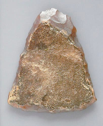 Uni-facial Stone Tool LACMA M.80.202.252