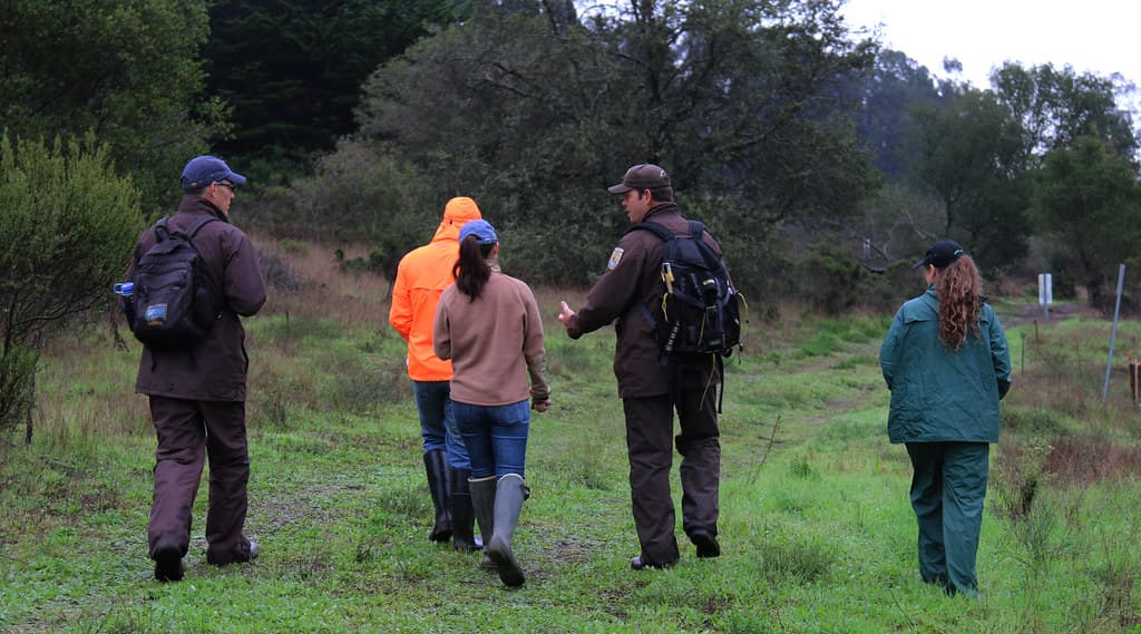 Monitoring salamander movements