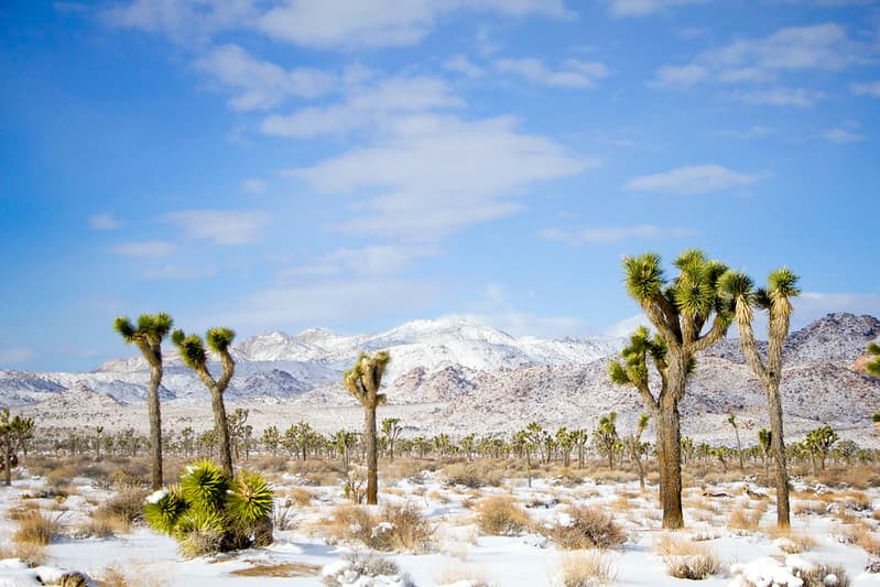 Juniper Flats area under snow