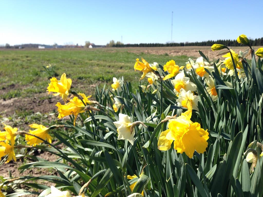 Waterman Agricultural and Natural Resources Laboratory