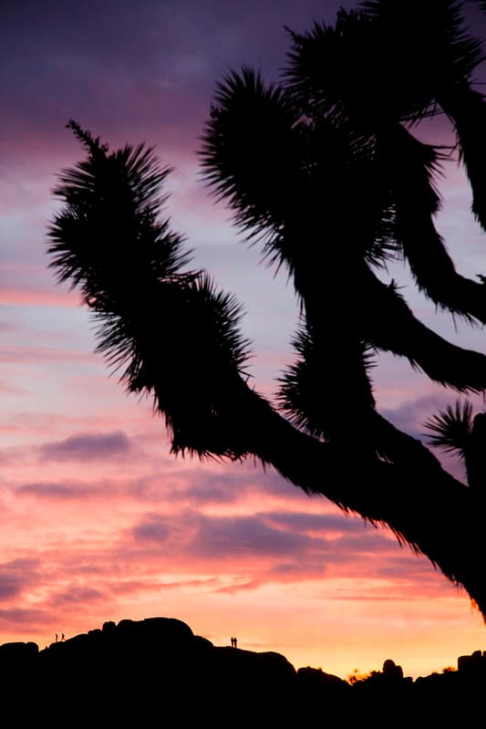Sunset at Jumbo Rocks campground