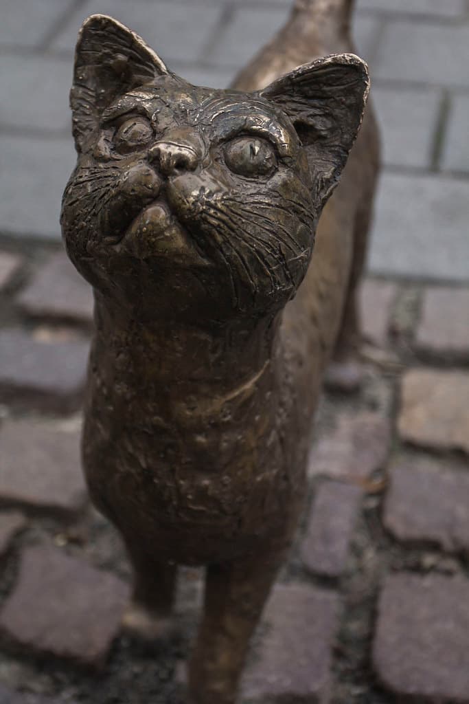 Bronze cat