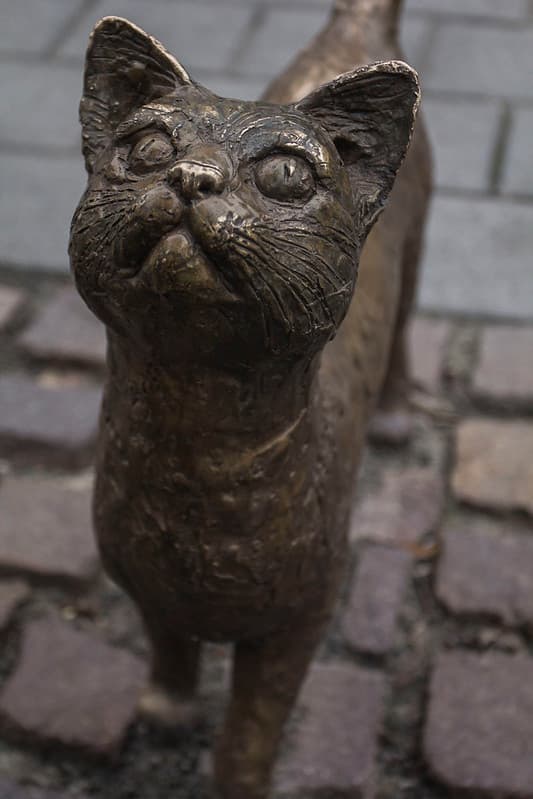 Bronze cat