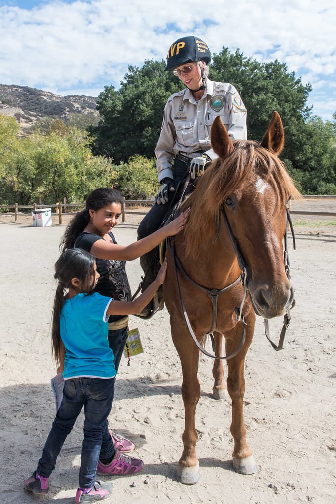 Rec Fest 2015 - Horses