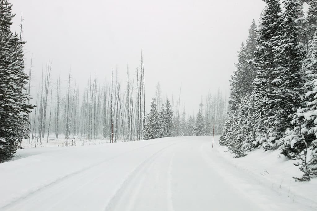 North of Roaring Mountain