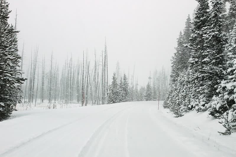 North of Roaring Mountain
