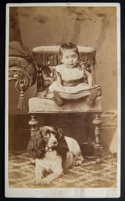 Baby and dog