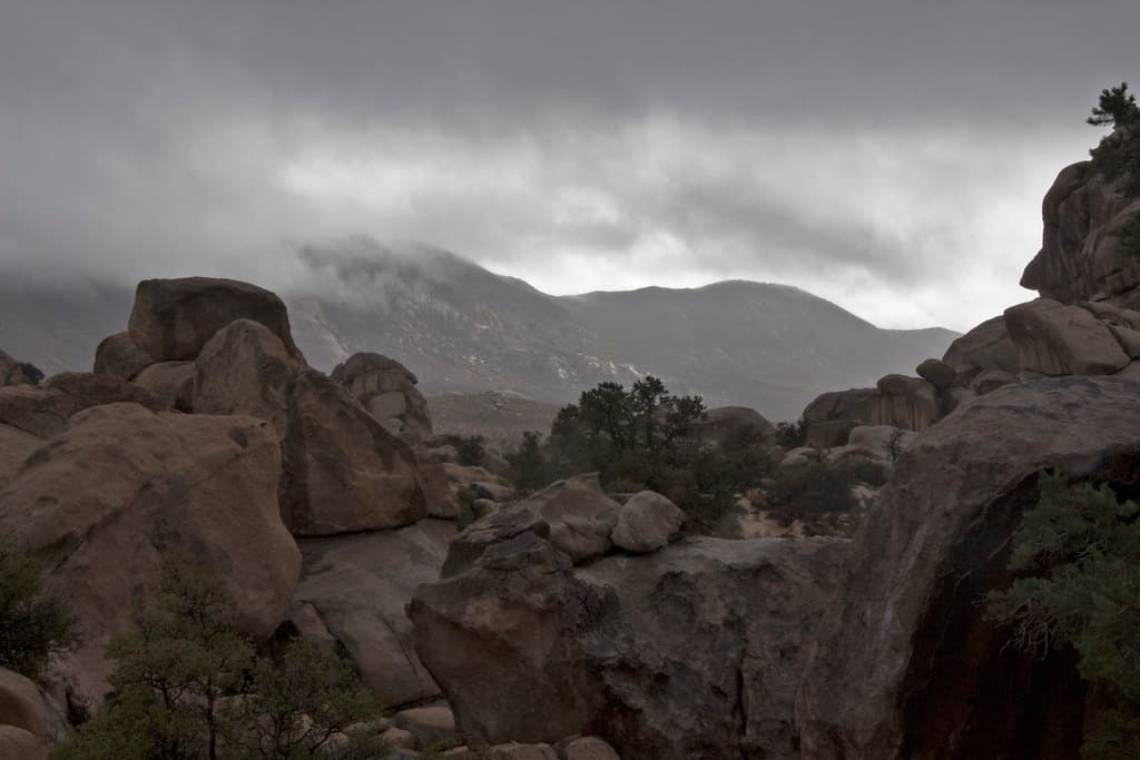 Clouds Hide the Summit of Ryan Mountain