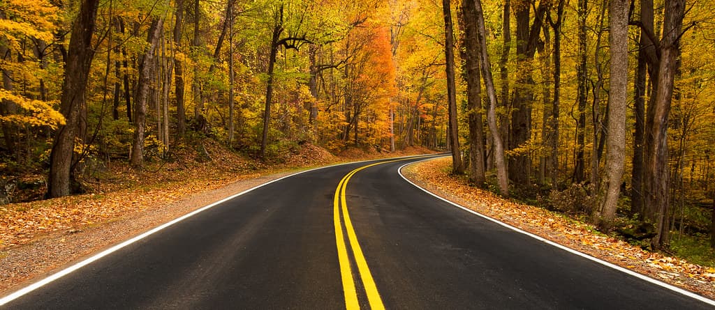 Newfound Gap Road - Great Smoky Mountains National Park, TN