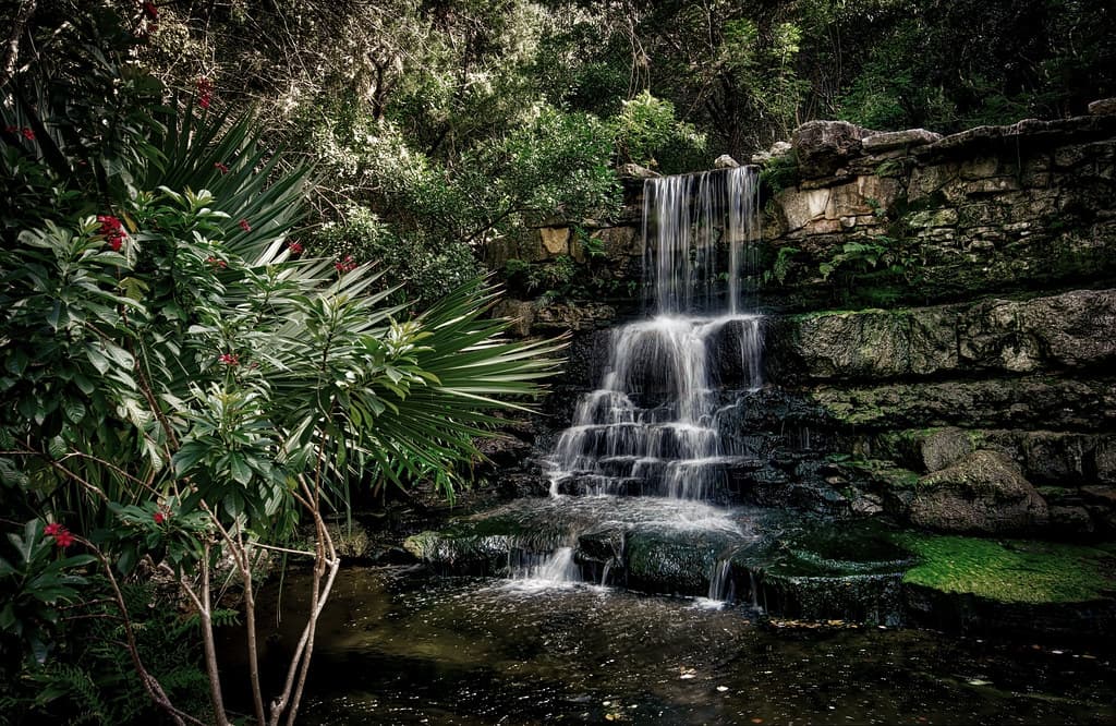 Zilker Botanical Garden Waterfall, Austin