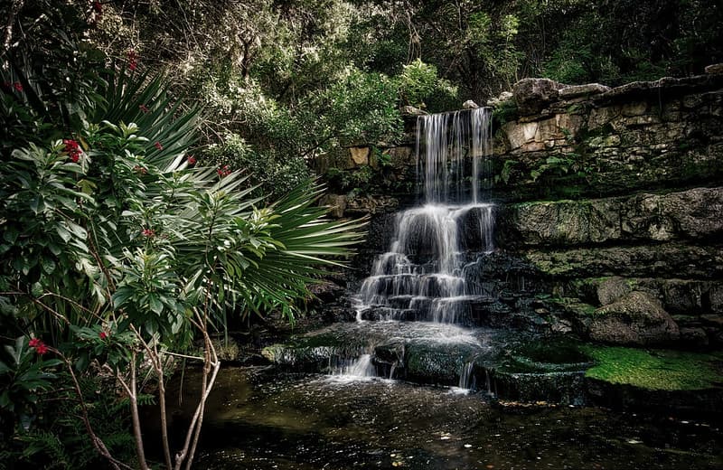 Zilker Botanical Garden Waterfall, Austin