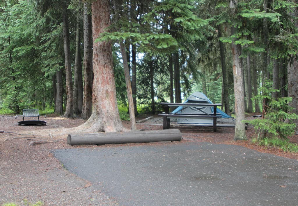 Bridge Bay Campground site