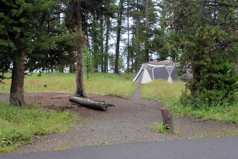 Bridge Bay Campground site