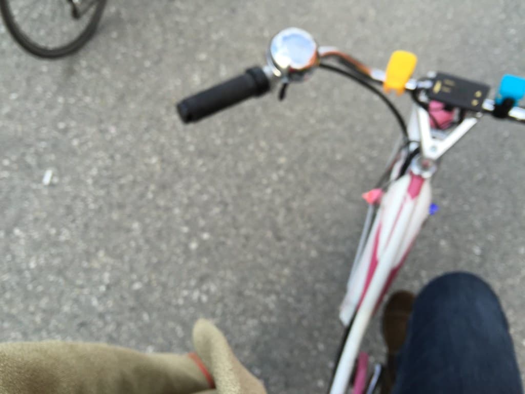 Bicyclingtowork, bikeworkpix, notrainy
