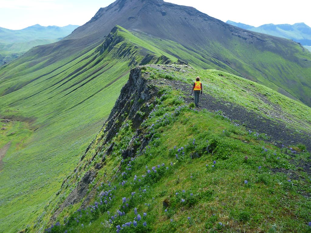 Field Work