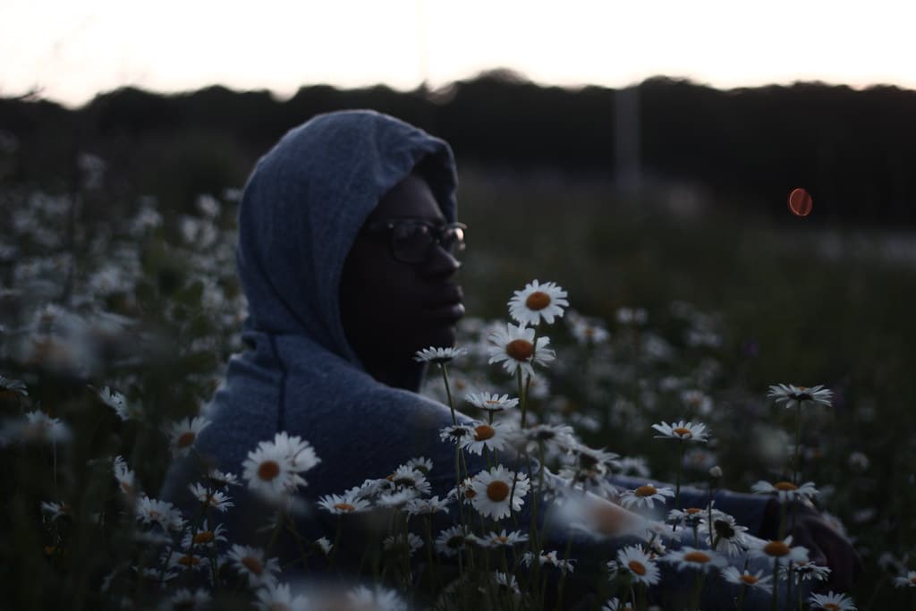 Man Resting in Field of White Sunflowers