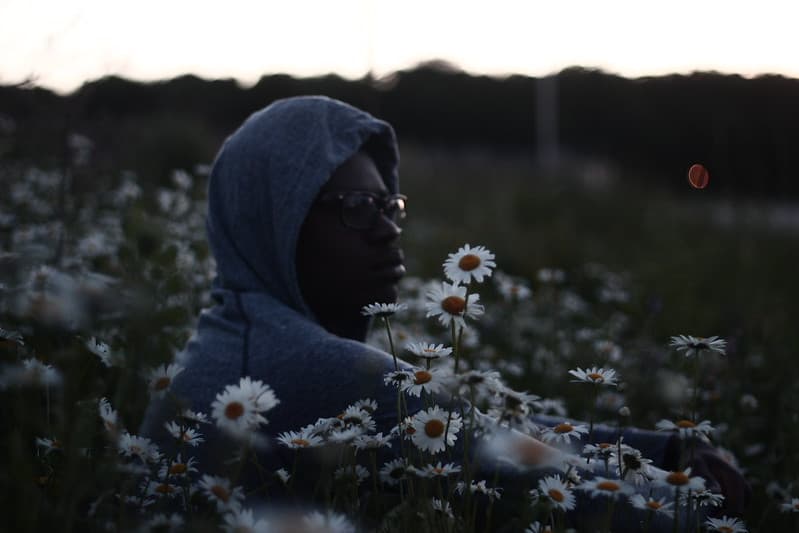Man Resting in Field of White Sunflowers