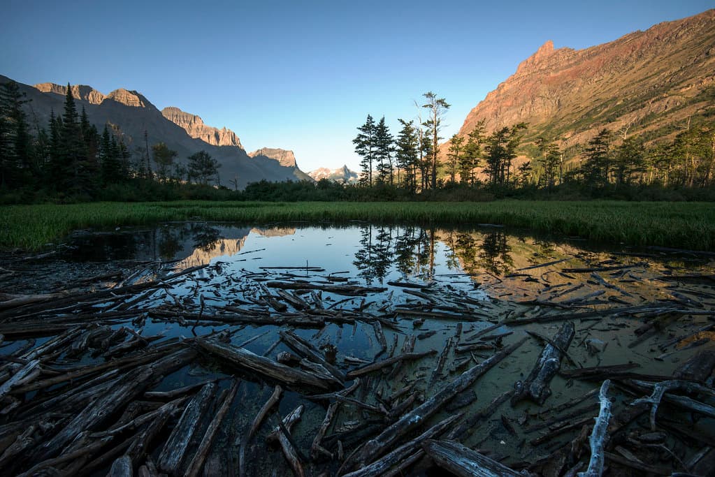 Ponds near Saint Mary Lake Sunrise