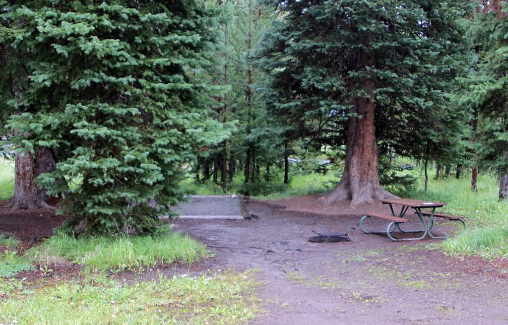 Bridge Bay Campground site
