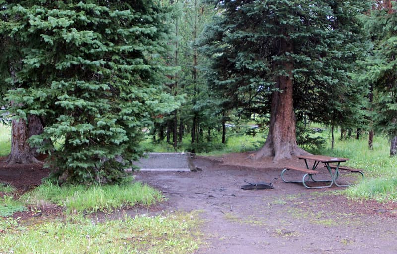 Bridge Bay Campground site