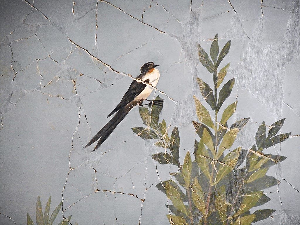 Archaeologicalmuseum, bird, italy